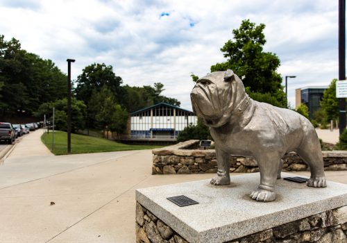 black bulldog statue